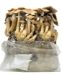 All-in-One Mushroom Grow Bag (4 lbs) for Manure Loving Mushrooms - ALL1