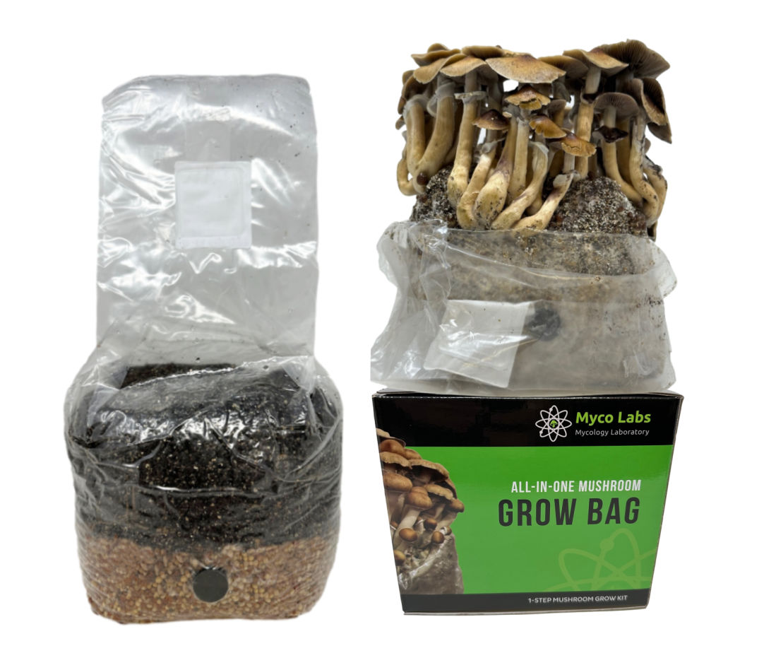 All-in-One Mushroom Grow Bag (4 lbs) for Manure Loving Mushrooms 4 lbs, all in one mushroom grow bags, cultivating mushrooms, large quantities, all-in-one grow bag, alternative cultivation methods, All-in-One Bags, minimal space, bountiful harvest, Easy and Convenient, High-Quality Ingredients, Sustainable, environmentally friendly, multiple harvests, fresh mushrooms,inject spores, liquid culture, colonization, substrate, Wild Horse Manure Booster, pressure sterilized, autoclave, .5 Micron filter bag, pre-sterilized mushroom growing kit, substrate, grain, filter Patch, home growers, mushroom spores, mycelium, warm and humid environment, mushroom species, fresh mushrooms, beginners,