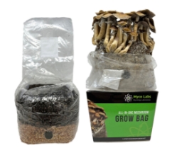 All-in-One Mushroom Grow Bag (4 lbs) for Manure Loving Mushrooms 4 lbs, all in one mushroom grow bags, cultivating mushrooms, large quantities, all-in-one grow bag, alternative cultivation methods, All-in-One Bags, minimal space, bountiful harvest, Easy and Convenient, High-Quality Ingredients, Sustainable, environmentally friendly, multiple harvests, fresh mushrooms,inject spores, liquid culture, colonization, substrate, Wild Horse Manure Booster, pressure sterilized, autoclave, .5 Micron filter bag, pre-sterilized mushroom growing kit, substrate, grain, filter Patch, home growers, mushroom spores, mycelium, warm and humid environment, mushroom species, fresh mushrooms, beginners,
