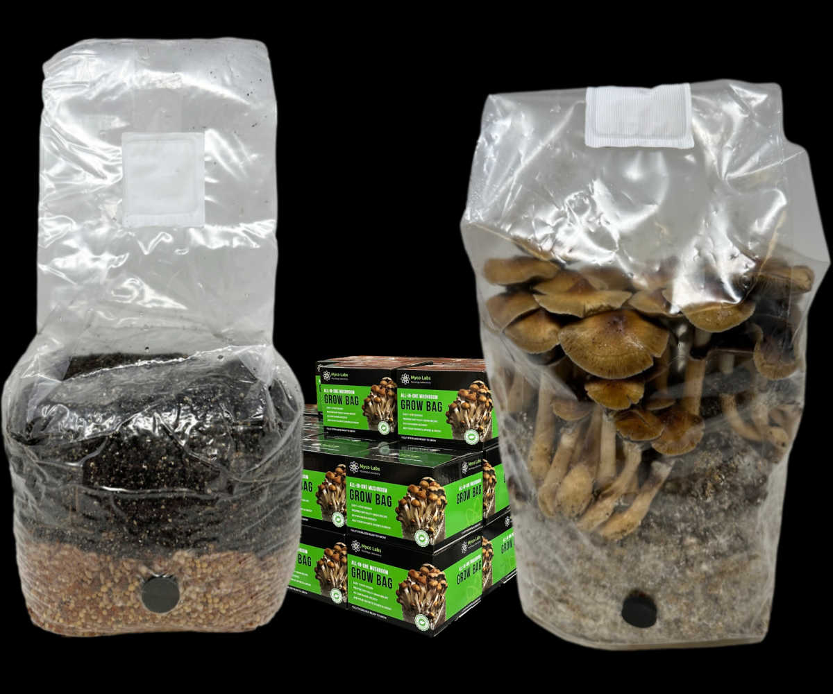 Manure Log All-in-One Mushroom Grow Bag (4 lbs) for Manure Loving Mushrooms