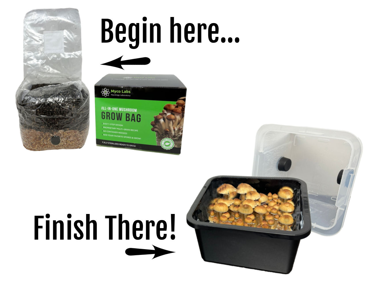 6 LBS Mushroom Starter Bag Monotub Kit | Midwest Grow Kits