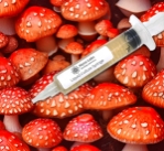 Amanita Muscaria Fly Ageric Liquid Culture Syringe