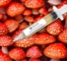 Amanita Muscaria Fly Ageric Liquid Culture Syringe