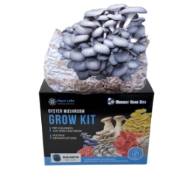 Blue Oyster Mushroom Grow Kit (5lbs)   Blue Oyster Mushroom Grow Kit, Mycolabs blue oyster grow kit, hardwood and grain spawn blend, first-generation mycelium, beginner-friendly, effortless cultivation, step-by-step instructions, pre-colonized substrate block, tasty, nutrient-dense, protein, fiber, vitamins, minerals, fresh, organic, eco-conscious, sustainable, recycled materials, minimal resources, swift fruiting period, low-maintenance, chilly conditions, gourmet cuisine, subtle flavor, intricate flavor, discounted price, vibrant blue hue, sizable fruiting bodies, aggressive growth, 5-pound cultivation kit, slice and mist, health benefits, visually stunning display.