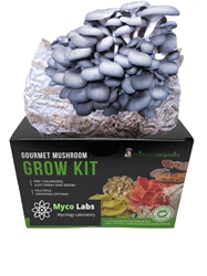 Blue Oyster Mushroom Grow Kit (5lbs)   blue oyster, mushroom, grow kit, gourmet, health, benefits, cooking, delicious, flavor, growing, easy, beginner