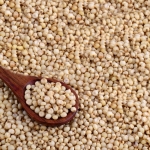 Bulk White Sorghum (Milo) Grain   Organic milo, mushroom spawn, substrate, nutrient-rich grain, protein, minerals, oyster mushrooms, shiitake mushrooms, lion's mane mushrooms, eco-friendly, sustainable farming, healthy, abundant fruiting bodies, easy to prepare.