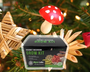 Holiday Pre-Order Ready-to-Grow Mushroom Kit (5lbs)  lion's mane,oyster,shiitake,beech,cordyceps,enoki