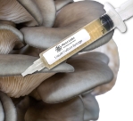 King Blue Oyster Liquid Culture Syringe (10cc)  King Blue oyster
