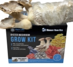 King Trumpet Oyster Mushroom Grow Kit (5lbs)    Mycolabs grow kit, King Trumpet Oyster Mushroom, Mushroom Grow Kit, Oyster Mushroom Kit, Mushroom Growing Kit, King Trumpet Mushroom, Oyster Mushroom Growing, Mushroom Kit 5lbs, King Trumpet Oyster Grow Kit, Fresh Oyster Mushrooms, Homegrown Oyster Mushrooms, Edible Mushroom Kit, King Trumpet Mushroom Kit, Oyster Mushroom Cultivation, Gourmet Mushroom Growing, Indoor Mushroom Growing,Mushroom Growing, King Trumpet Mushroom Growing, DIY Mushroom Kit, Fresh Mushroom Kit, King Trumpet Mushroom Grow Kit, King Oyster mushrooms, Pleurotus eryngii, gourmet mushrooms, home cultivation, easy, convenient, mild flavor, nutty taste, firm texture, meaty texture, sought-after, effortless, sustainable, environmentally-friendly,