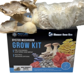 King Trumpet Oyster Mushroom Grow Kit (5lbs)    Mycolabs grow kit, King Trumpet Oyster Mushroom, Mushroom Grow Kit, Oyster Mushroom Kit, Mushroom Growing Kit, King Trumpet Mushroom, Oyster Mushroom Growing, Mushroom Kit 5lbs, King Trumpet Oyster Grow Kit, Fresh Oyster Mushrooms, Homegrown Oyster Mushrooms, Edible Mushroom Kit, King Trumpet Mushroom Kit, Oyster Mushroom Cultivation, Gourmet Mushroom Growing, Indoor Mushroom Growing,Mushroom Growing, King Trumpet Mushroom Growing, DIY Mushroom Kit, Fresh Mushroom Kit, King Trumpet Mushroom Grow Kit, King Oyster mushrooms, Pleurotus eryngii, gourmet mushrooms, home cultivation, easy, convenient, mild flavor, nutty taste, firm texture, meaty texture, sought-after, effortless, sustainable, environmentally-friendly,