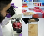 Lab Service - Mushroom Cloning & Isolation of Your Specimen Lab Service - Mushroom Cloning & Isolation of Your Specimen