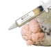 Close-up of a clear liquid culture syringe labeled ‘Myco Labs Liquid Culture Syringe,’ positioned next to a dense block covered with clusters of Pink Lion's Mane Mushrooms