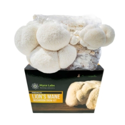 Lions Mane Mushroom Grow Kit (5lbs)  Lions Mane Mushroom Grow Kit, mycolabs lions mane grow kit, Lions Mane Mushrooms, beginners, experienced cultivators, remarkable characteristics, Transform Your Space, Natures Most Regal Fungi, awe-inspiring sight, cascading white spines, indoor garden, incredible health benefits, Boost Your Brain Power, Elevate Your Mood, cognitive-enhancing, mood-regulating properties, Simple, Sustainable, 5lb, eco-friendly materials, highest quality harvest, Hericium erinaceus, top-selling varieties, support brain health, delectable mushroom, culinary enjoyment, numerous mushroom flushes, 4-6 weeks, larger, coral-like growth, enjoyable variety, extraordinary mushroom, native, North America, Europe, Asia, traditional Chinese, Japanese medicine