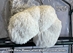 Lion's Mane Mushroom Grow Kit (5lbs)  - LM1