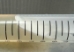 Live Mushroom Culture on Agar Slant (Your Choice)  - SLT1