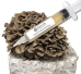 Maitake (Hen of the Woods) Liquid Culture Syringe (10cc)    - MTK10
