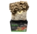 Picture of maitake hen of the woods grow kit