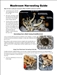 (DISCONTINUED) Mushroom Harvesting Knife Set - HK1