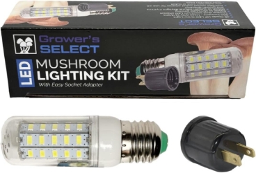 Mushroom Lighting Kit 