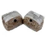 Mycolabs Orginal Rye Grain Spawn Bags (2-Pack)  Rye spawn bags, bulk grow, casing, homestead, grow bags, mushroom grow bags
