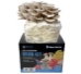 Pearl Oyster Liquid Culture Syringe (10cc) - POLC