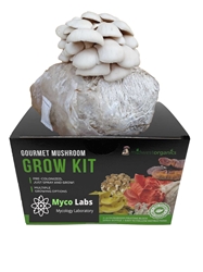 Pearl White Oyster Mushroom Grow Kit (5lbs) white, pearl, oyster, mushroom, grow kit, health, benefits, cooking, delicious, flavor, easy, beginner