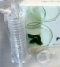 Petri Dishes 90mm x 15mm Plates With Vented Lid, Sterile (20 Pack)  - PTR2