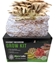Phoenix Oyster Mushroom Grow Kit (5lbs)  - PHX5