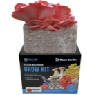 Picture of Pink Oyster Mushroom Grow Kit Closeup