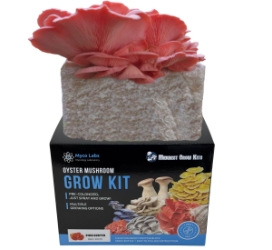 Picture of Pink Oyster Mushroom Grow Kit Closeup