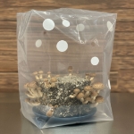 Portable Mushroom Humidity Tent  Mushroom Humidity Tent, multiple grows, newcomer, versatile dome, mushroom cultivation, incubating, bulk casing grows, highly effective, fruiting chamber, container, measuring 20.5" x 10" x 2.75", heavy-duty tray, durability, longevity, multiple uses