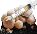 Close-up of a clear liquid culture syringe labeled ‘Myco Labs Liquid Culture Syringe’ placed in front of several brown portobello mushrooms growing on manure substrate.