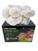 Holiday Pre-Order Ready-to-Grow Mushroom Kit (5lbs)  - XMAS1