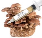 Close-up of a clear liquid culture syringe labeled ‘Myco Labs Liquid Culture Syringe,’ positioned next to a dense block covered with clusters of brown shiitake mushrooms.
