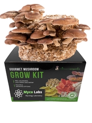 Shiitake Mushroom Grow Kit (5lbs)   shiitake, mushroom, grow kit, delicious, cooking, health, benefits, affordable, easy