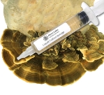 Close-up of a clear liquid culture syringe labeled ‘Myco Labs Liquid Culture Syringe,’ positioned next to a dense block covered with cluster of Turkey tail mushrooms.
