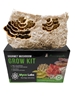 Turkey Tail Mushroom Grow Kit (5lbs)   turkey tail, mushroom, mushrooms, grow kit, mushroom grow kit, health, benefits, supplement, breast cancer, lung cancer, colon cancer, leukemia, immune system, easy, growing