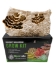 Turkey Tail Mushroom Grow Kit for indoor growing