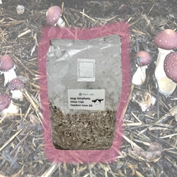 Wine Cap (King Stropharia) Outdoor Mushroom Grow Kit (6lbs)