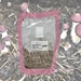 Wine Cap (King Stropharia) Outdoor Mushroom Grow Kit (6lbs) - WCK6