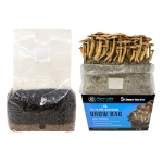 XL All-in-One Mushroom Grow Bag (6 lbs) for Manure Loving Mushrooms 6 lbs, all in one mushroom grow bags, cultivating mushrooms, large quantities, all-in-one grow bag, alternative cultivation methods, All-in-One Bags, minimal space, bountiful harvest, Easy and Convenient, High-Quality Ingredients, Sustainable, environmentally friendly, multiple harvests, fresh mushrooms,inject spores, liquid culture, colonization, substrate, Wild Horse Manure Booster, pressure sterilized, autoclave, .5 Micron filter bag, pre-sterilized mushroom growing kit, substrate, grain, filter Patch, home growers, mushroom spores, mycelium, warm and humid environment, mushroom species, fresh mushrooms, beginners,