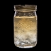 jar of liquid culture with mycelium
